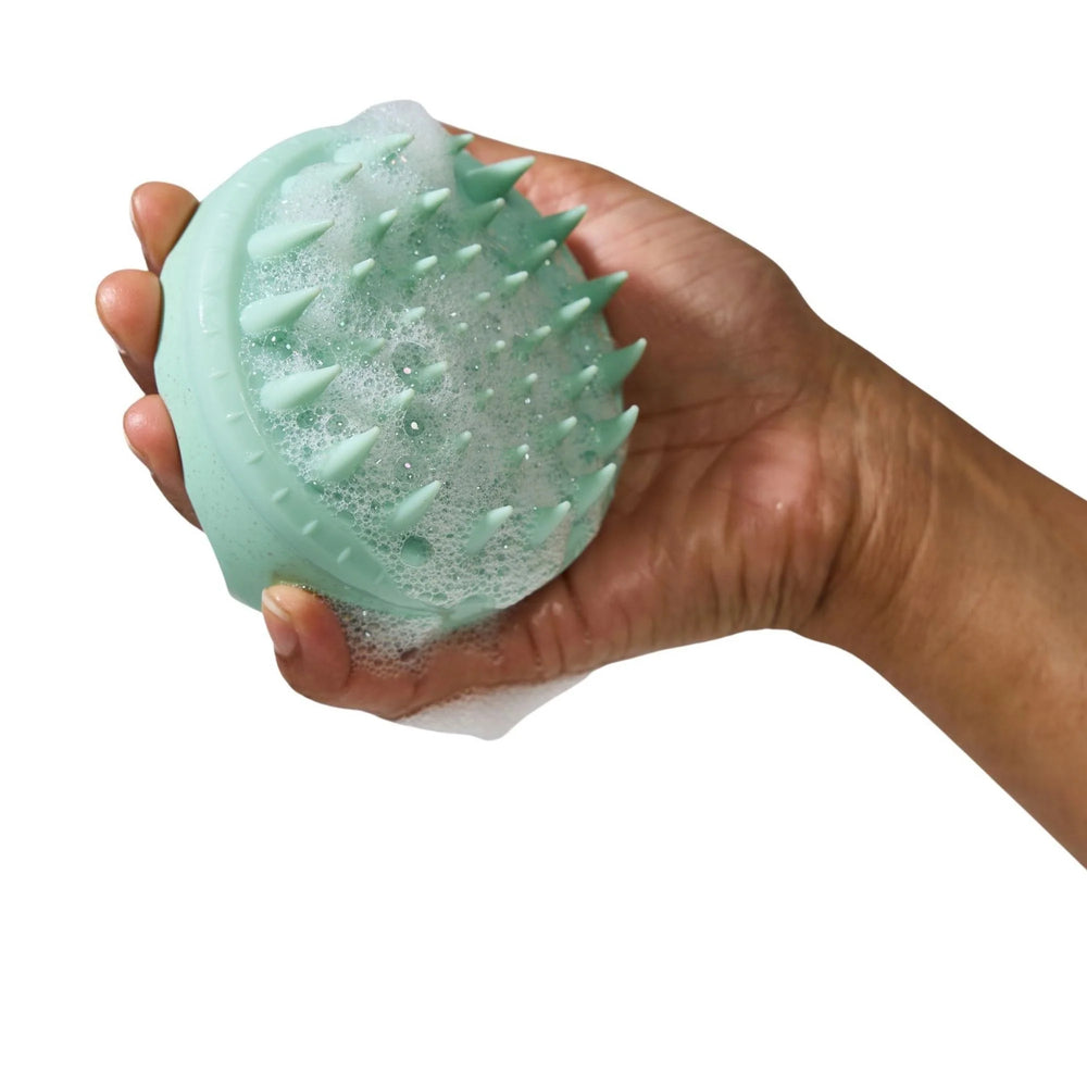 evo zestaw clean sweep scalp & head